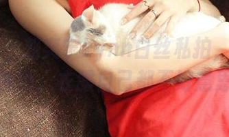 推女神 – 刘奕宁Lynn白丝私拍，图包处处显神通，衣服自己都不好意思了！