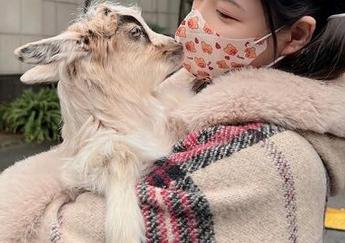 微密圈 – 谁说JK不能无圣光？陈妮妮UNI的图包里，隐藏了所有的误解！